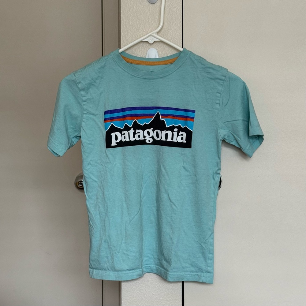 patagonia t-shirt